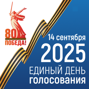 Выборы депутатов Воронежской областной думы.