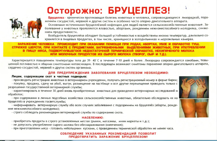 Предотвращения заноса заболевания животных. Предотвращения заноса заболевания животных.